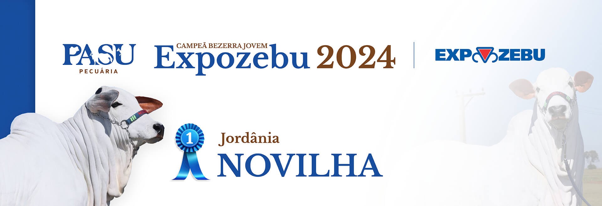 Expo Zebu