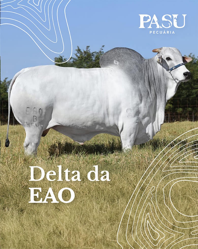 Delta da EAO