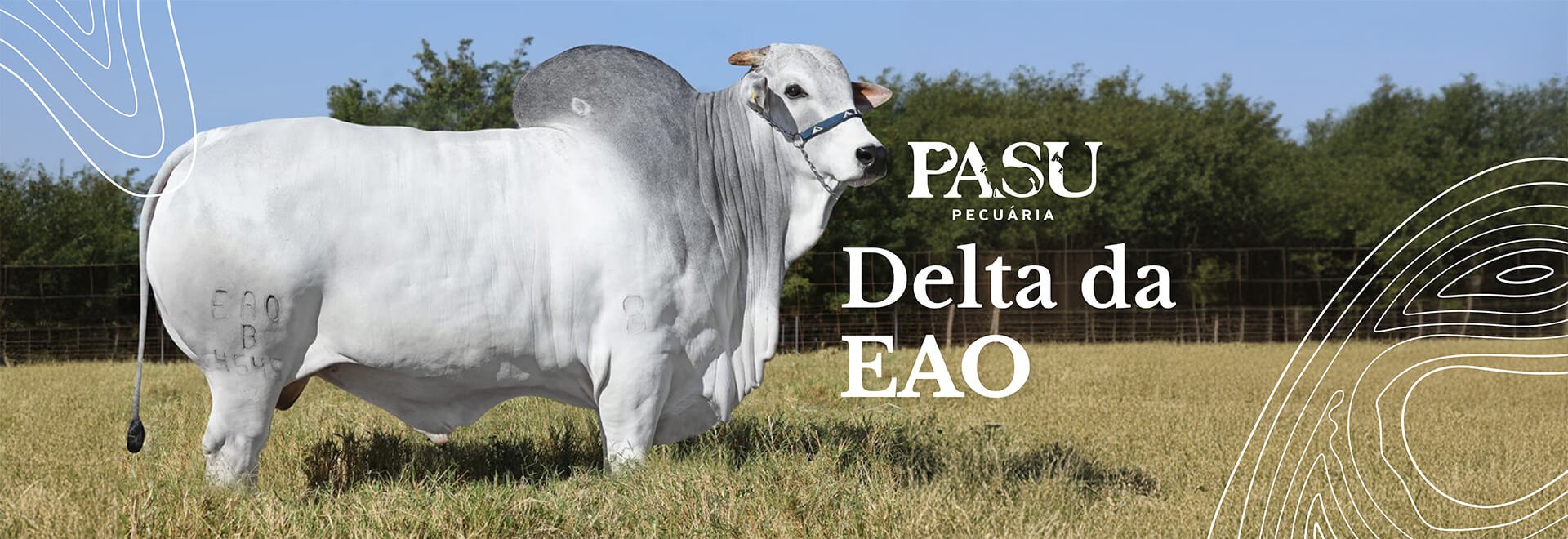Delta da EAO