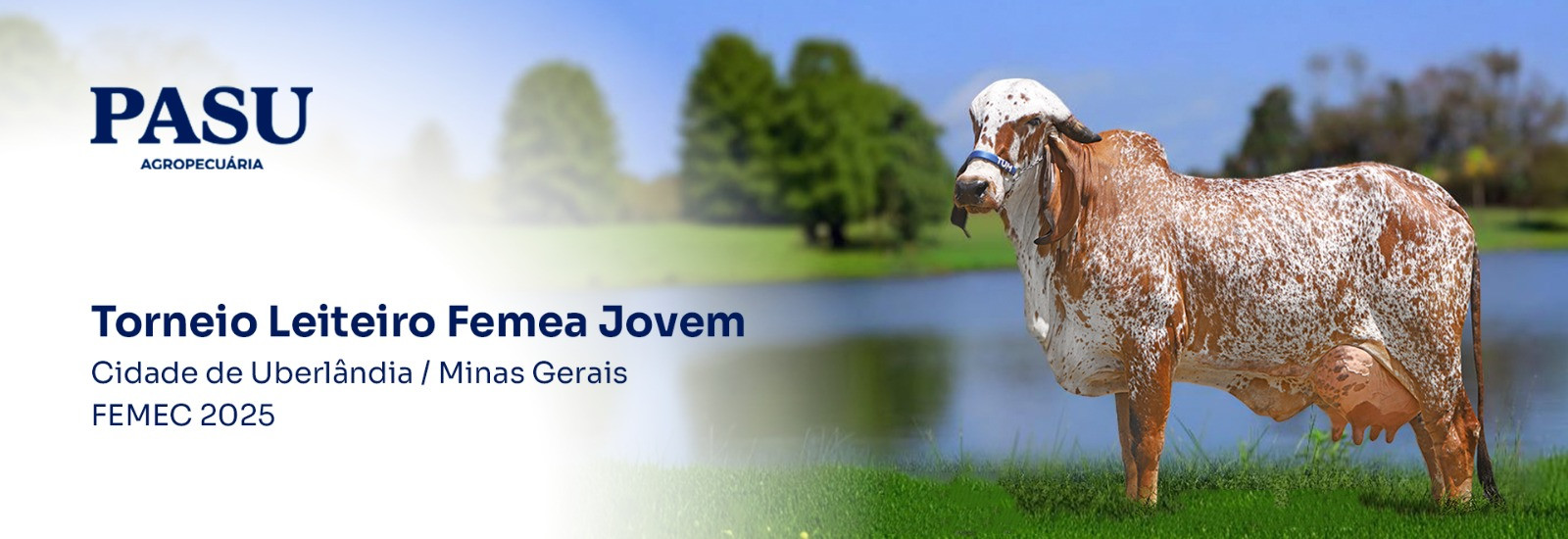 Torneio Leiteiro Fêmea Jovem