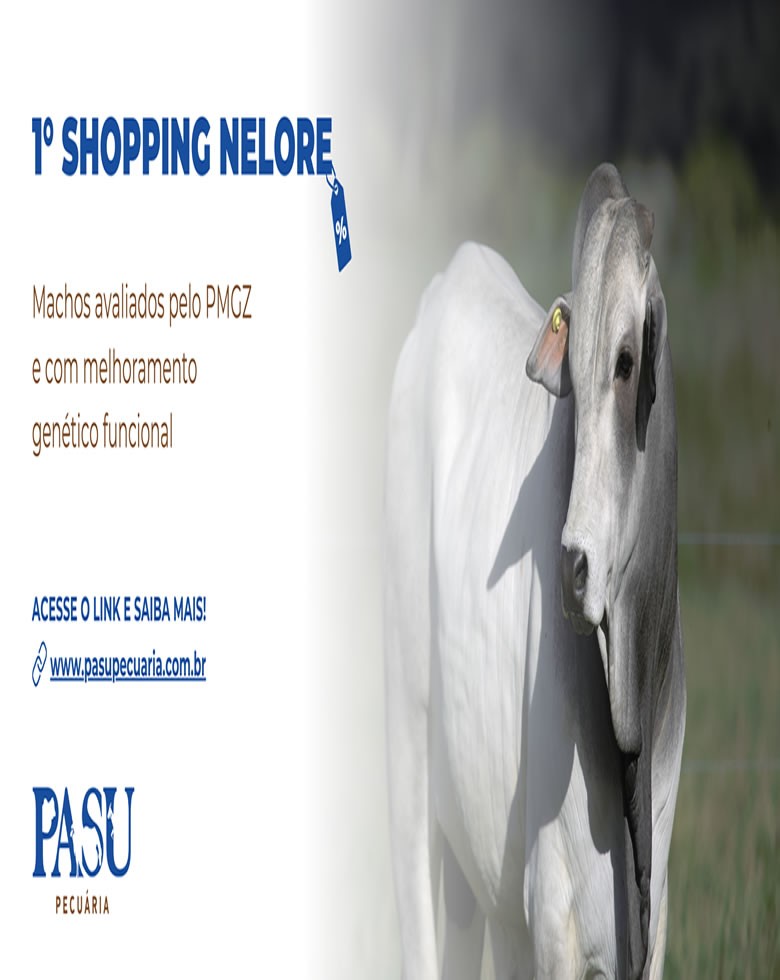 1 Shopping