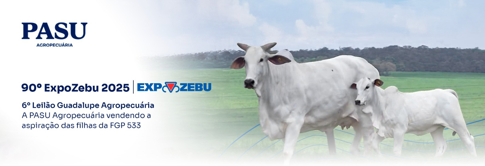 90ª Expozebu 2025