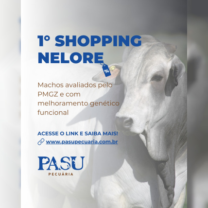 1ª Shopping Nelore PASU PECUARIA